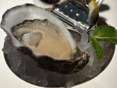 -Oyster Talks 四度蚝法餐厅