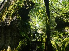 -山王坪喀斯特国家生态公园