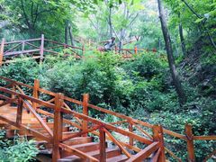 -大岭沟猕猴桃谷风景区