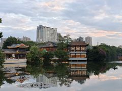 -荔湾湖公园