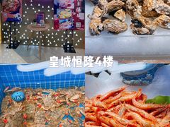 -乔哥铭洋海鲜自助(皇城恒隆广场店)