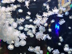 -太平洋海底世界