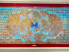 -上海昆虫博物馆