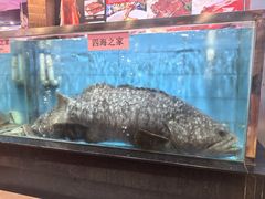 -四海之家(蛇口店)