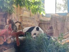 -泉州海丝野生动物世界