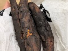 -西部长青自然儿童乐园