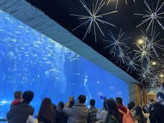 -华夏文旅海洋公园