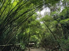 -东部华侨城