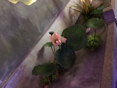 -韵秋荷(宝山龙湖天街店)