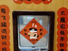 -MOCHA明星猫咖(田子坊店)
