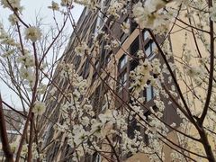 -首都医科大学附属北京潞河医院