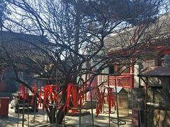 -北山公园