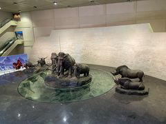 -大庆市博物馆
