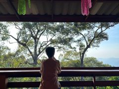 -清迈丛林飞跃 JungleFlight