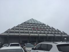 -中国石化加油站(武隆服务区北侧站)