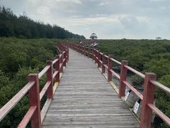 -北海金海湾红树林生态旅游区