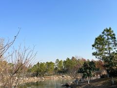 -春花秋色城市公园