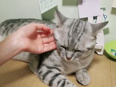 -H立方实景剧情密室(天河旗舰店)