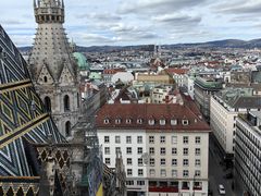 -斯蒂芬主教座堂(Stephansdom)