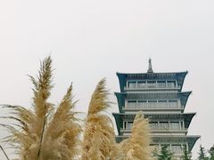 -西安世博园