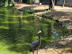 -秦皇岛野生动物园