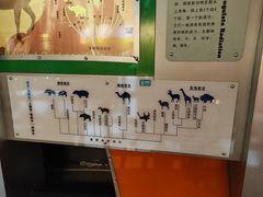-河南自然博物馆