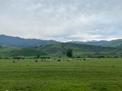 -新疆那拉提国家旅游度假区