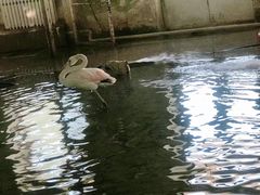 -哈尔滨北方森林动物园