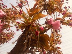 -大望京儿童游乐场