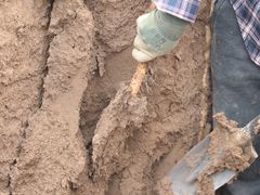 -解家河南菜(商鼎路店)