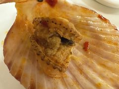 -小叶大馅饺子城