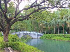 -大埔公路-马料水段香港中文大学(公交站)