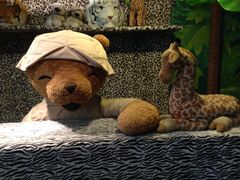 -济州岛泰迪熊博物馆