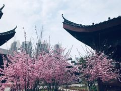 -堤角公园