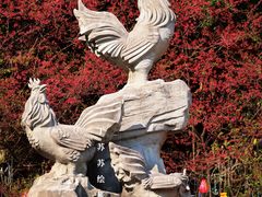 -金鸡山公园