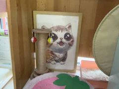 -纳吉亚猫专科动物医院博雅分院