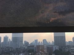 -OL’s Cake鲜荟千层(东风中路店)