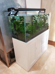 -诗媛嘉美健康管理中心(金桥店)