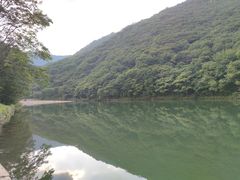 -龙道沟景区