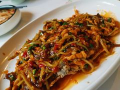 有鱼的鱼香肉丝-院8里·小聚园老川菜(九眼桥店)