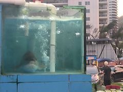 -考记泥焗鸡农庄·海鲜(北洛秘境店)