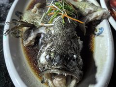-小海豚·老字号海鲜餐厅(三亚湾店)