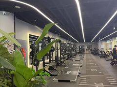 -TMG潮流健身(奥体莲荷里店)