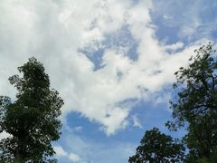 -阿哈湖国家湿地公园