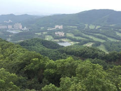 -大屏嶂森林公园