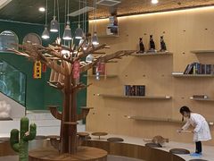 -飞行喵MR PILOT|猫舍·猫咖(静安大融城店)
