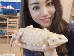 -藦茜花园宠物主题亲子互动体验馆(国顺东路店)