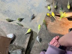-嘉兴海底世界