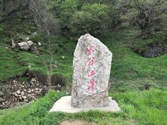 -大九湖
