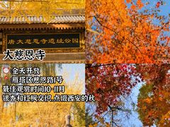 -西北轻工批发市场